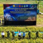 Kementan dan TNI AL Kerja Sama Pacu Swasembada Kedelai