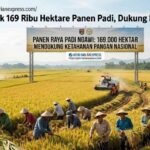 Ngawi Bidik 169 Ribu Hektare Panen Padi Dukung Pangan Nasional