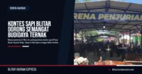 Kontes Sapi Blitar 2026: Gairahkan Budidaya Peternak