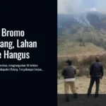 Kebakaran Bromo Dekati Malang, Lahan 10 Hektare Hangus