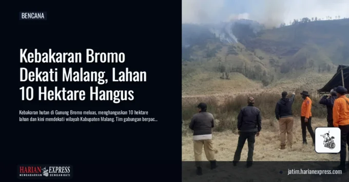 Kebakaran Bromo Dekati Malang, Lahan 10 Hektare Hangus