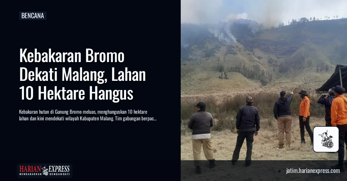 Kebakaran Bromo Dekati Malang, Lahan 10 Hektare Hangus