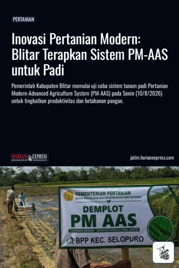 Inovasi Pertanian Modern: Blitar Terapkan Sistem PM-AAS untuk Padi