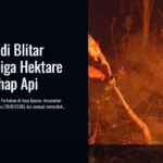 Hutan Jati di Blitar Terbakar, Tiga Hektare Ludes Dilahap Api