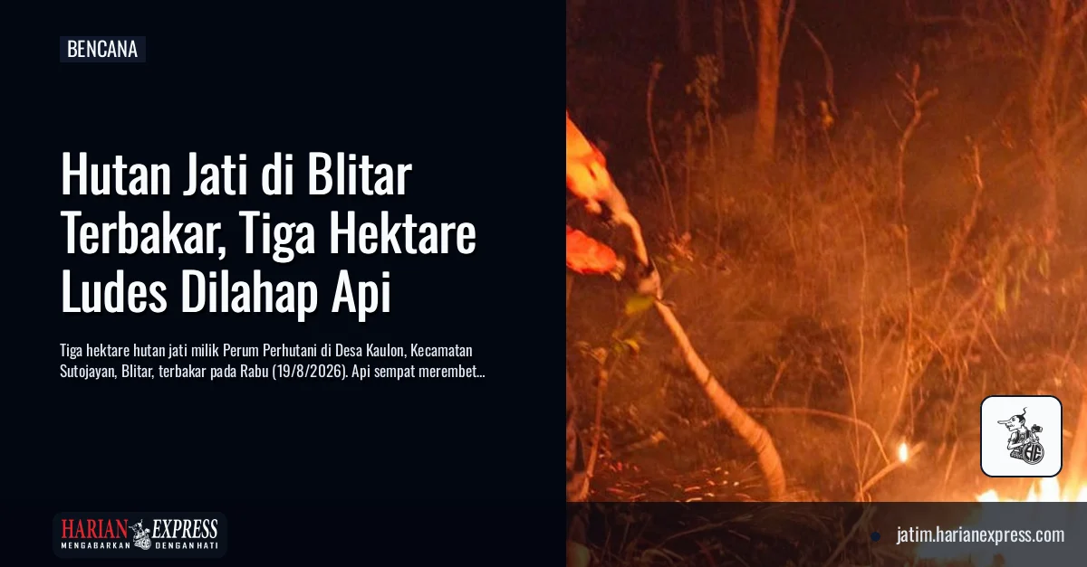 Hutan Jati di Blitar Terbakar, Tiga Hektare Ludes Dilahap Api