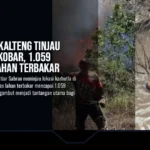 Gubernur Kalteng Tinjau Karhutla Kobar, 1.059 Hektare Lahan Terbakar