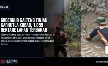 Gubernur Kalteng Tinjau Karhutla Kobar, 1.059 Hektare Lahan Terbakar
