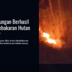 Petugas Gabungan Berhasil Padamkan Kebakaran Hutan Kaulon Blitar