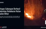 Petugas Gabungan Berhasil Padamkan Kebakaran Hutan Kaulon Blitar