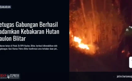 Petugas Gabungan Berhasil Padamkan Kebakaran Hutan Kaulon Blitar