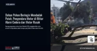 Dahan Pohon Beringin Mendadak Patah, Pengendara Motor di Blitar Alami Cedera dan Motor Rusak