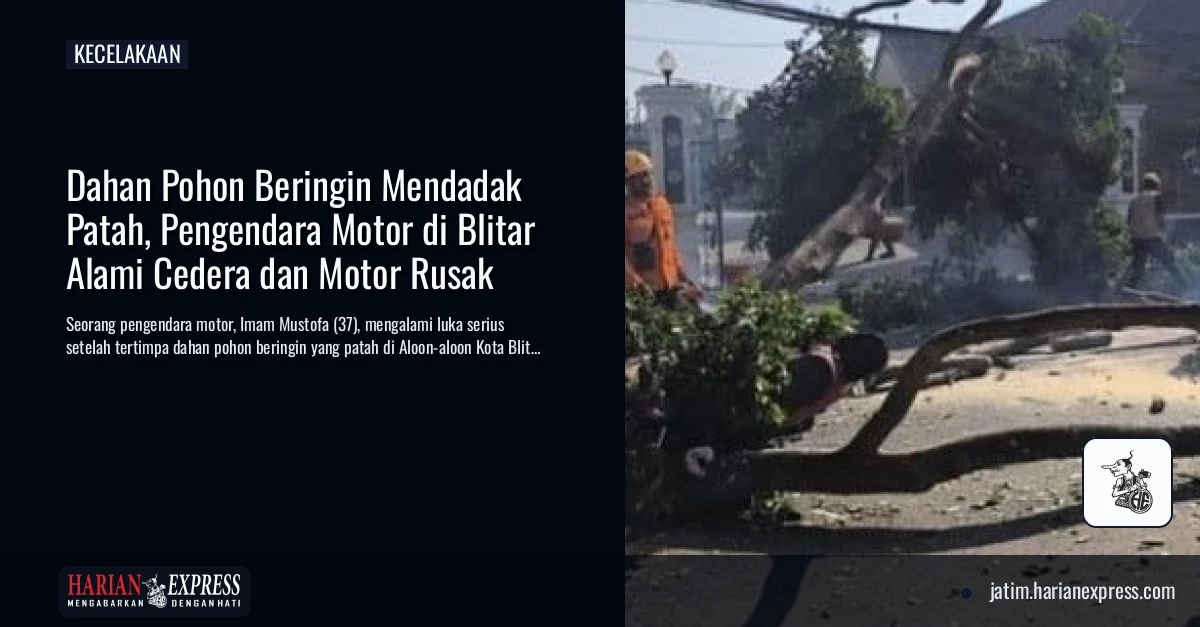 Dahan Pohon Beringin Mendadak Patah, Pengendara Motor di Blitar Alami Cedera dan Motor Rusak