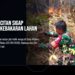 Babinsa Pacitan Sigap Padamkan Kebakaran Lahan di Widoro