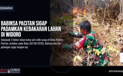 Babinsa Pacitan Sigap Padamkan Kebakaran Lahan di Widoro