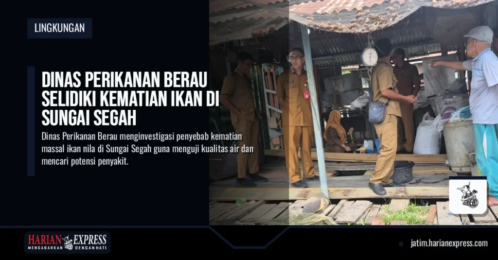 Dinas Perikanan Berau Selidiki Kematian Ikan di Sungai Segah