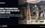 Dinas Perikanan Berau Selidiki Kematian Ikan di Sungai Segah