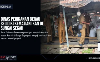 Dinas Perikanan Berau Selidiki Kematian Ikan di Sungai Segah