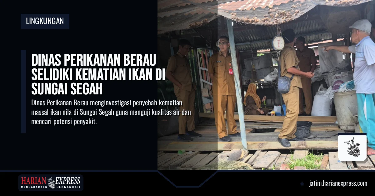 Dinas Perikanan Berau Selidiki Kematian Ikan di Sungai Segah