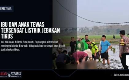 Ibu dan Anak Tewas Tersengat Listrik Jebakan Tikus