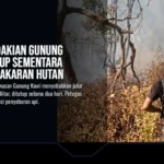 Gambar tambahan: kebakaran
