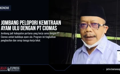 Jombang Pelopori Kemitraan Ayam Ulu dengan PT Ciomas Jombang Pelopori Kemitraan Ayam Ulu dengan PT Ciomas