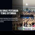 Dari Sekolah Unggulan, Menjadi Penjaga Masa Depan Kesehatan Hewan