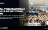 Tiga Pegawai Dinas Pertanian Jayawijaya Tewas Ditembak KKB