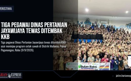 Tiga Pegawai Dinas Pertanian Jayawijaya Tewas Ditembak KKB