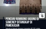 Pencuri Rombong Jagung di Sumenep Ditangkap di Pamekasan
