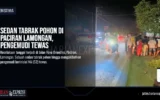 Sedan Tabrak Pohon di Paciran Lamongan, Pengemudi Tewas