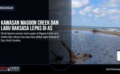 Kawasan Magoon Creek dan Labu Raksasa Lepas di AS