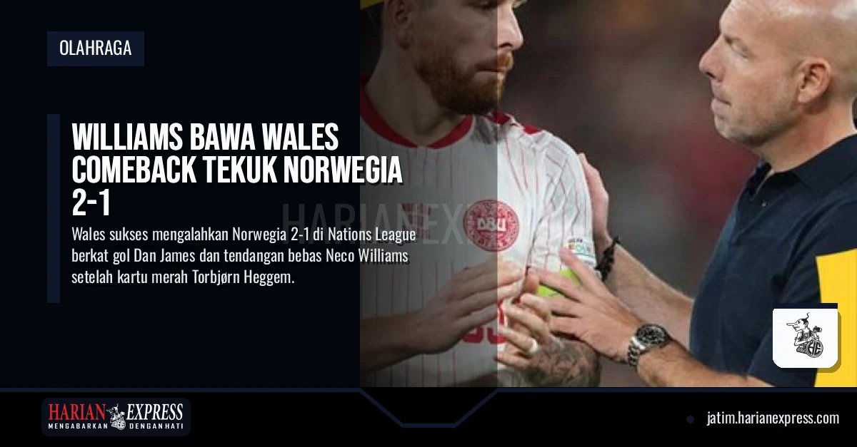Williams Bawa Wales Comeback Tekuk Norwegia 2-1